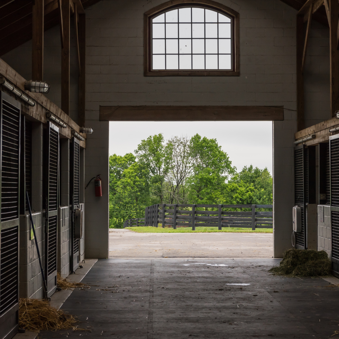 Barn / Farm Lights