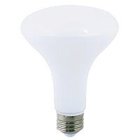 BR30 LIGHT BULBS