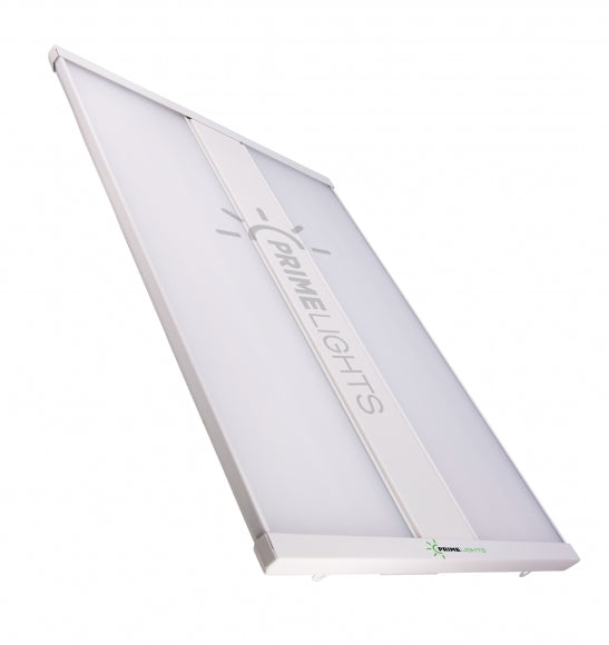 LED WILDCAT 110 Bay Shop Light 14,300 Lumens