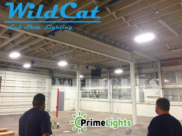 LED WILDCAT 110 Bay Shop Light 14,300 Lumens