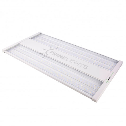 LED WILDCAT 110 Bay Shop Light 14,300 Lumens