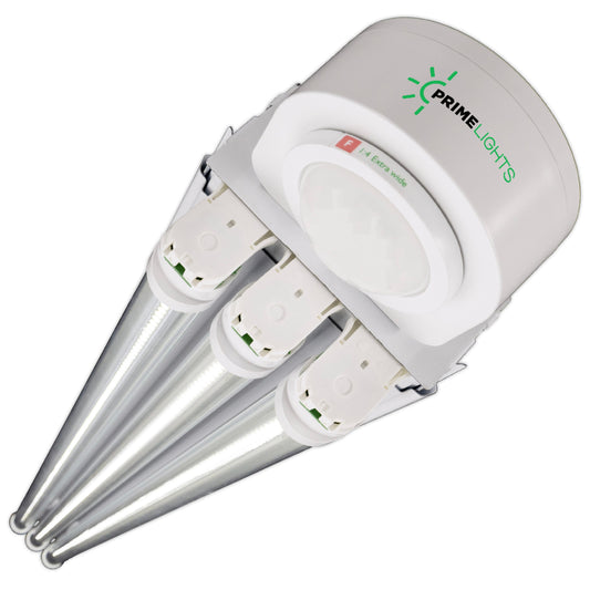 4ft. USA Made LED 3 Lamp BOLT® Motion Activated Shop Light 60W - 10,800 Lumens - Clear/Frosted